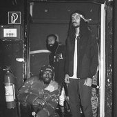 Flatbush ZOMBiES