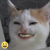 Nafanyaa 的头像