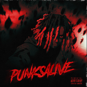 PUNKSALIVE