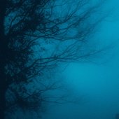artist image from spotify