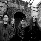 carcass