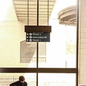 IMG_3447.jpg