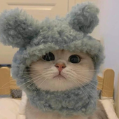 k0alaa_ 的头像