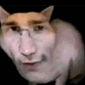 sewicidal_ 的头像