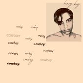 Cowboy