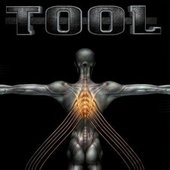 TOOL