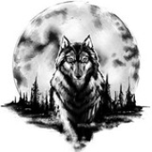 Avatar for strizhant