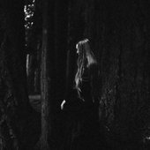 By mobird vision Photo