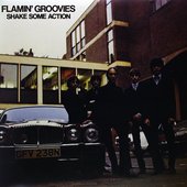  Flamin' Groovies - Shake Some Action