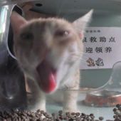 R0CKS3TTA 的头像