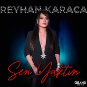 Sen Yaktın
