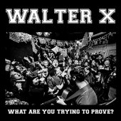 WHAT ARE YOU TRYING TO PROVE?