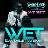 Wet (Snoop Dogg vs. David Guetta) [Remix]