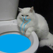Avatar für Samgeef
