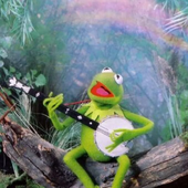 rainbowconnection.PNG