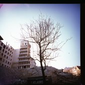 crashride tree