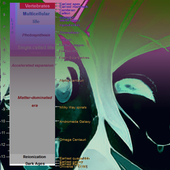 The Rodinians - Future Forest Fantasy - Elves.png