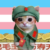 BearCub_Li1 的头像
