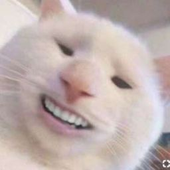 Leeeznutz 的头像