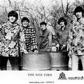 The Box-Tops_10.jpg