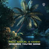 Wishing You're Gone - Single