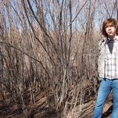 bushes n brambles