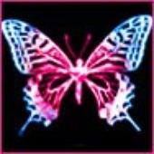 Avatar for sakurai_miu