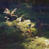 cover1.jpg