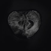 Symphony of Dying - EP