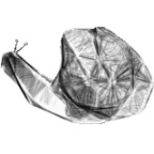 Avatar für ink1e