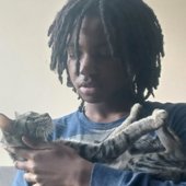 cat3.jpg