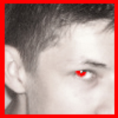 Avatar de red12