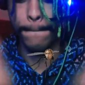 YiohOmega matando o mosquito com rosto do Lil Preto