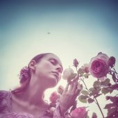 Dampness_Roses_Aug_2019.jpg