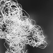 Spicules