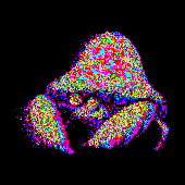 Avatar for Muosda1