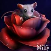 Avatar for nilfy