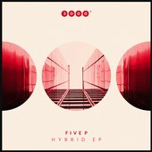 Hybrid