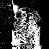 0024870166_0.png