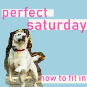 How to Fit In