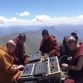 szavaSki 的头像