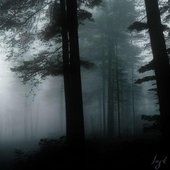 Lost