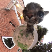 QueenOfTheFags 的头像
