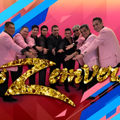 zemvers.png