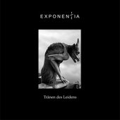 Tränen des Leidens