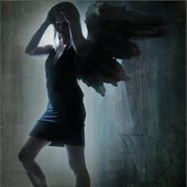 Human Angel