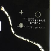 INVISIBLE STORY | reassembled & remastered