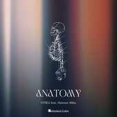 ANATOMY