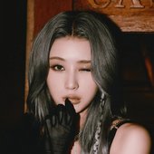 roa3.jpg
