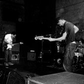 live lovelesse whizzkid